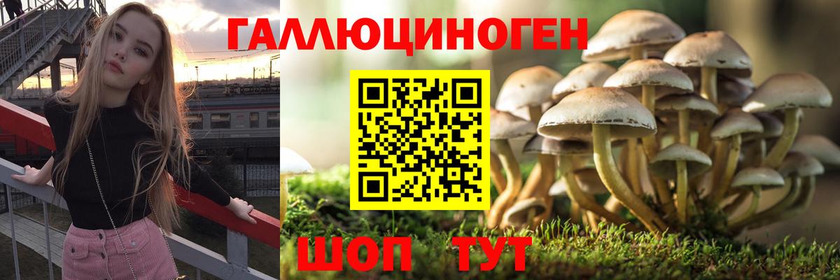 Волгоград  Псилоцибиновые грибы Psilocybe  Псилоцибиновые грибы Cubensis  Вход с VPN 
